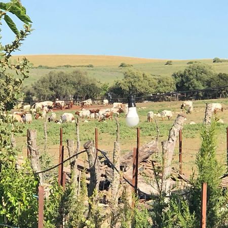 Alojamiento Rural El Soldao Медина Сидония Екстериор снимка