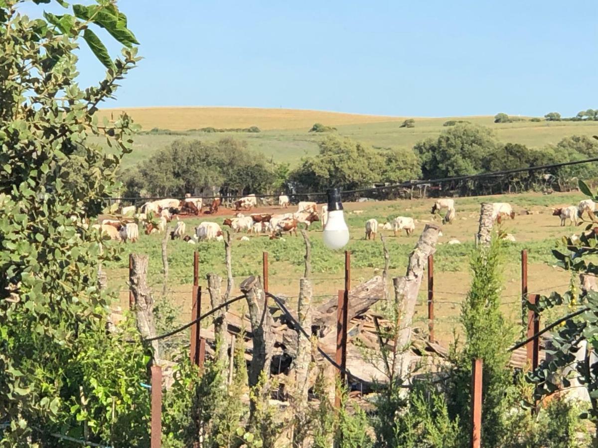 Alojamiento Rural El Soldao Медина Сидония Екстериор снимка